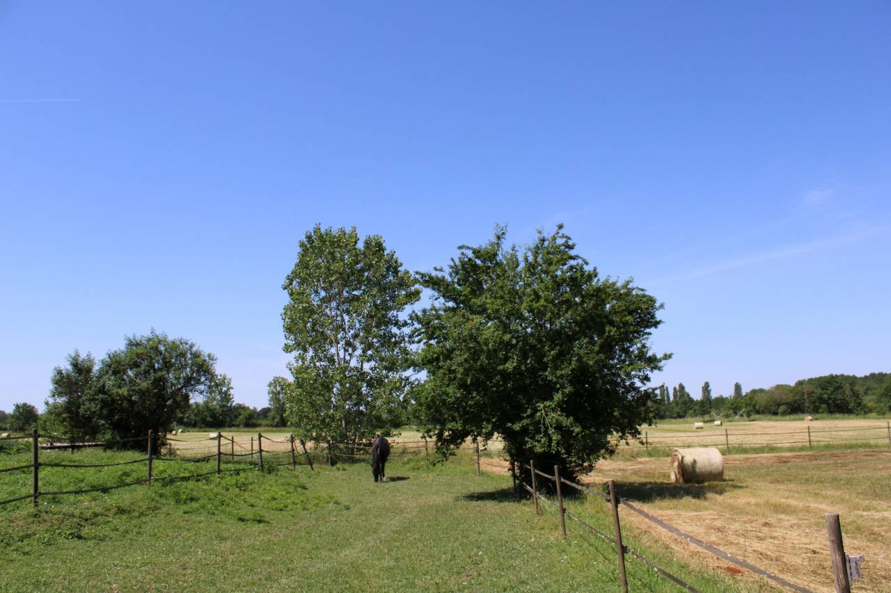 Hippisch vastgoed Koop Tarn-et-Garonne