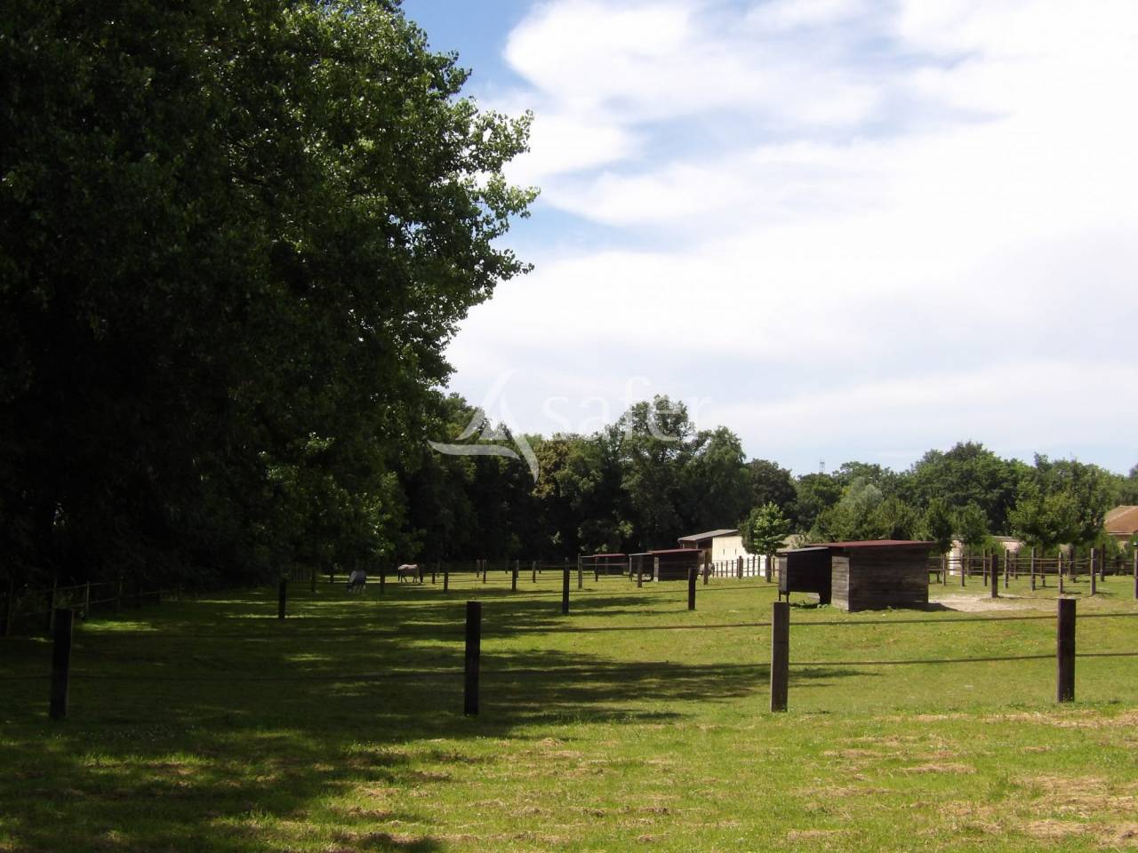 Hippisch vastgoed Koop Essonne