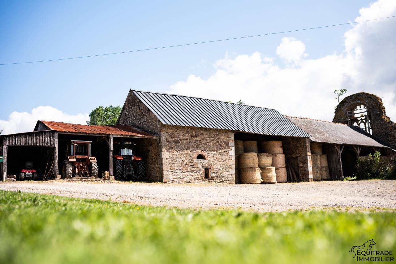 Mooi hippisch vastgoed Koop Ile-et-Vilaine