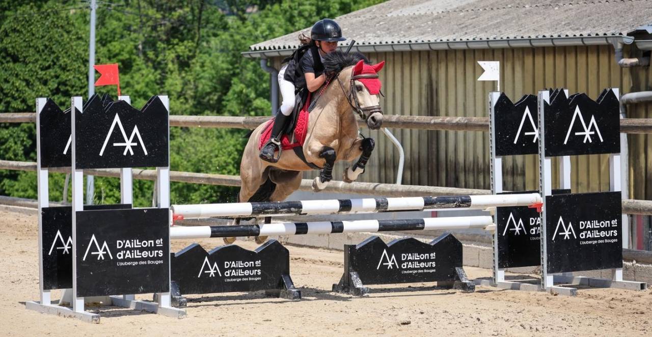 Ruin Franse rijpony PFS Te koop 2017 Isabel