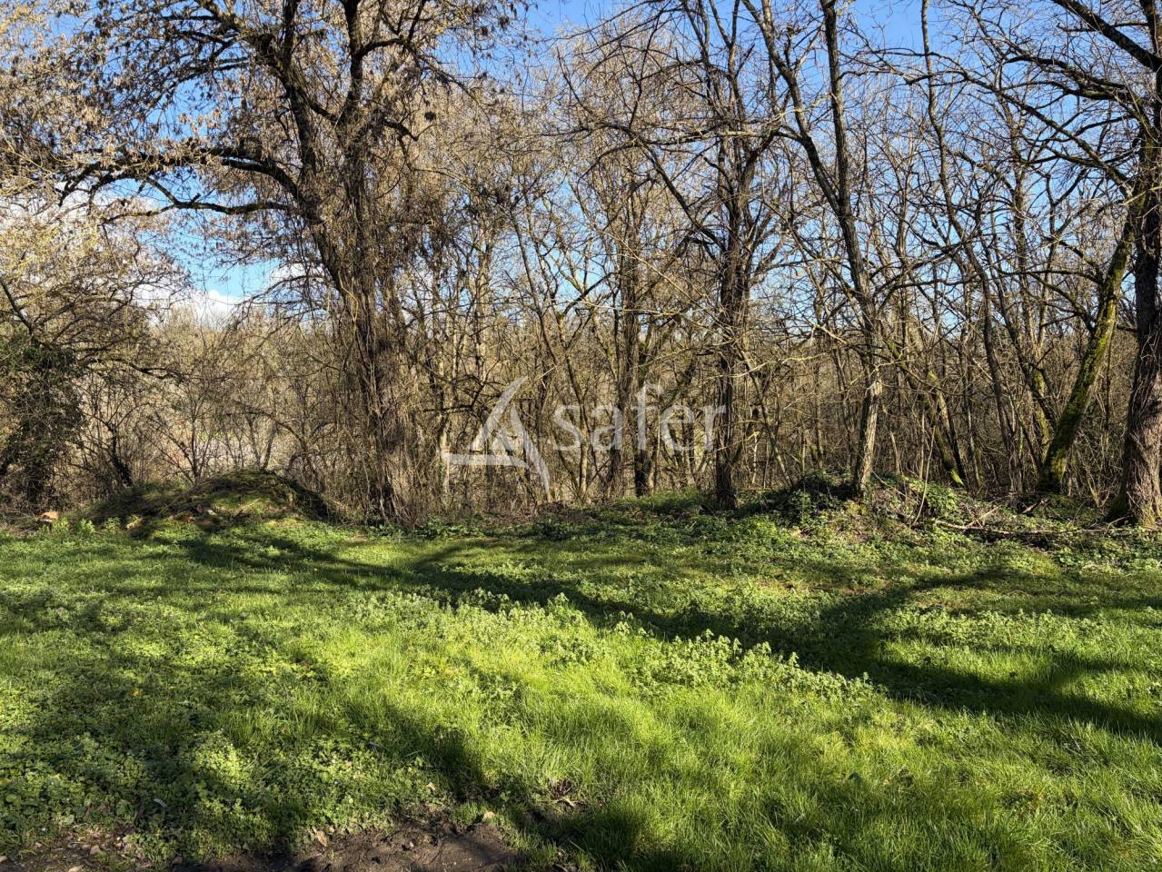 Landbouw bedrijf Koop Lot-et-Garonne