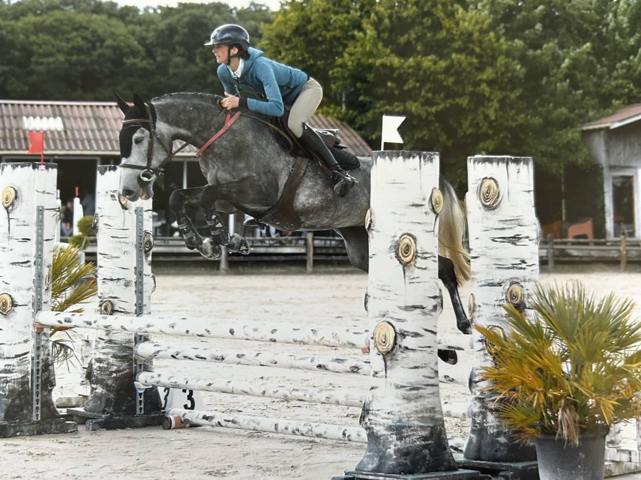 Merrie Selle Fran&ccedil;ais Te koop 2021 Schimmel ,  CAP KENNEDY
