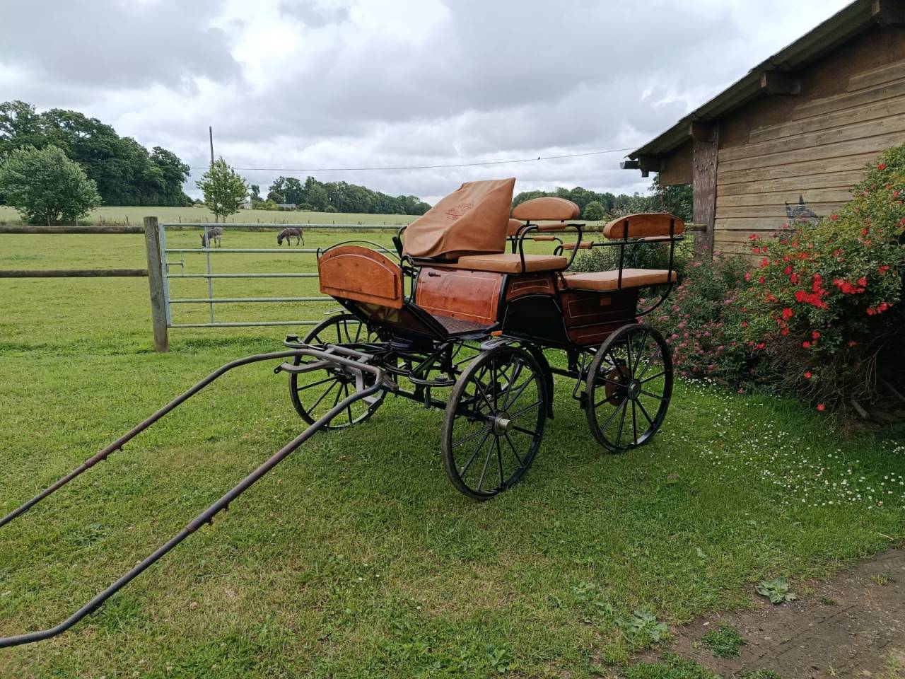 Rijtuigen - Wagonnette - Ander merk - Wagonette loisir 