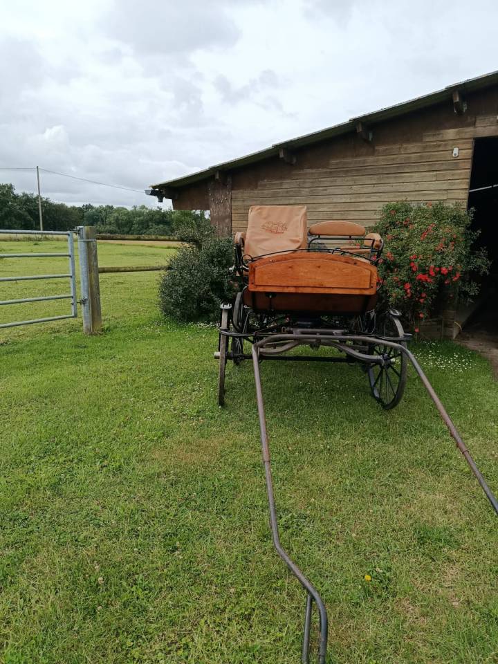 Rijtuigen - Wagonnette - Ander merk - Wagonette loisir 