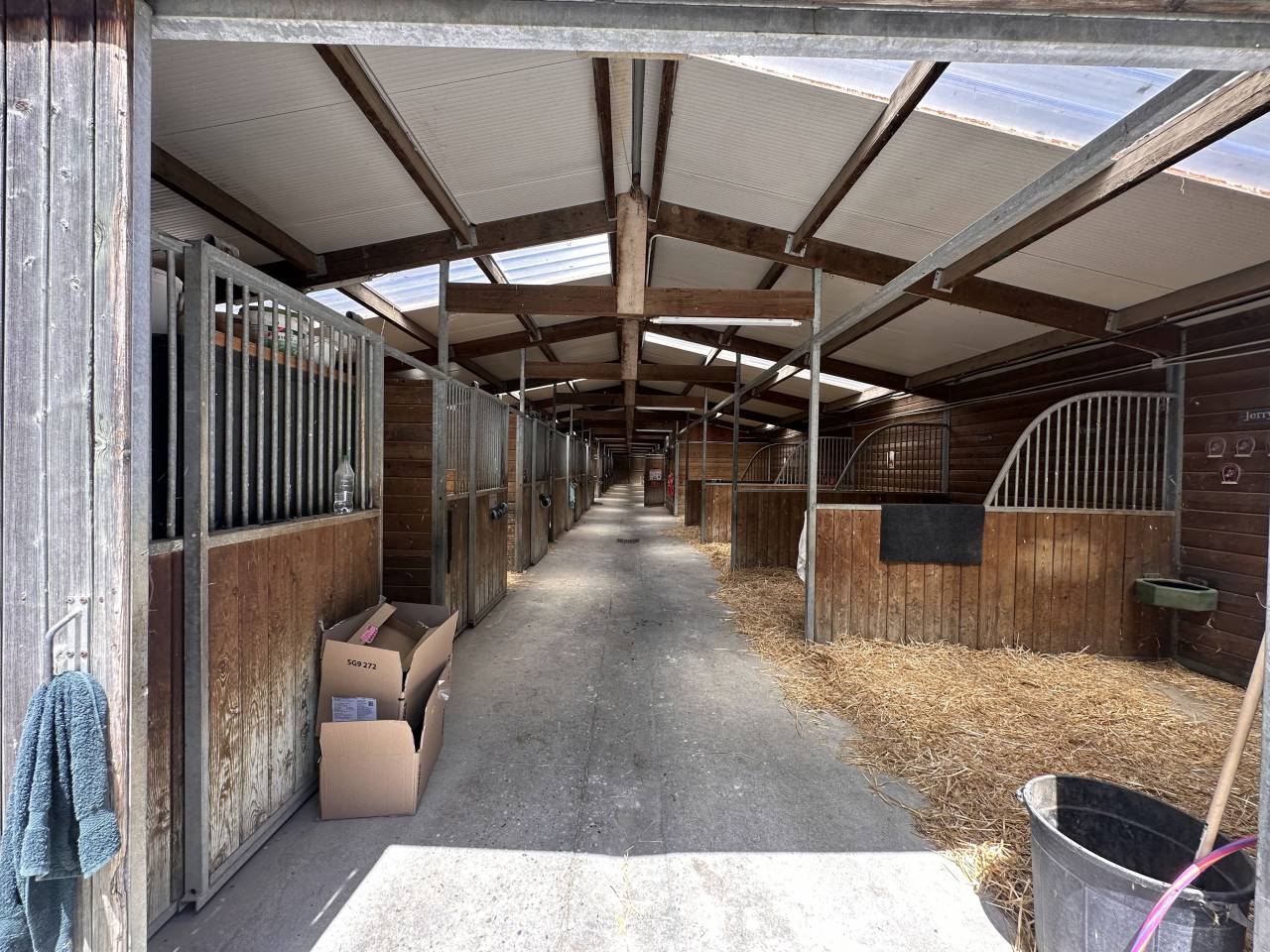 Eigenaren stal Koop Ain