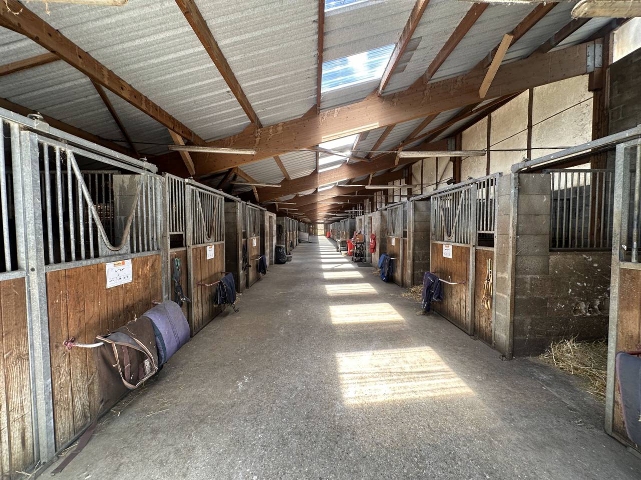 Eigenaren stal Koop Ain