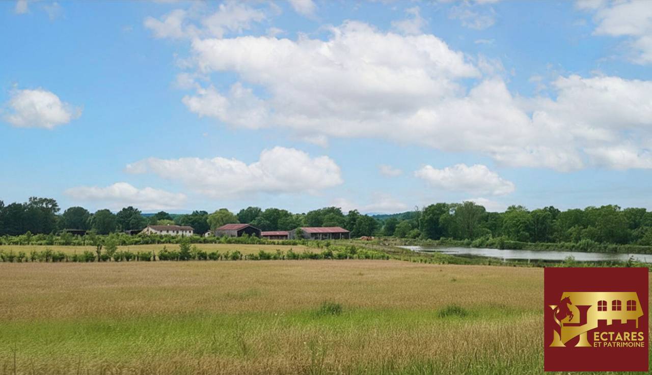 Hippisch vastgoed Koop Ain