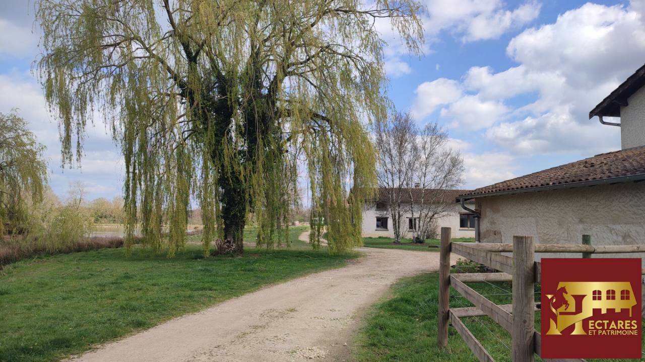 Hippisch vastgoed Koop Ain
