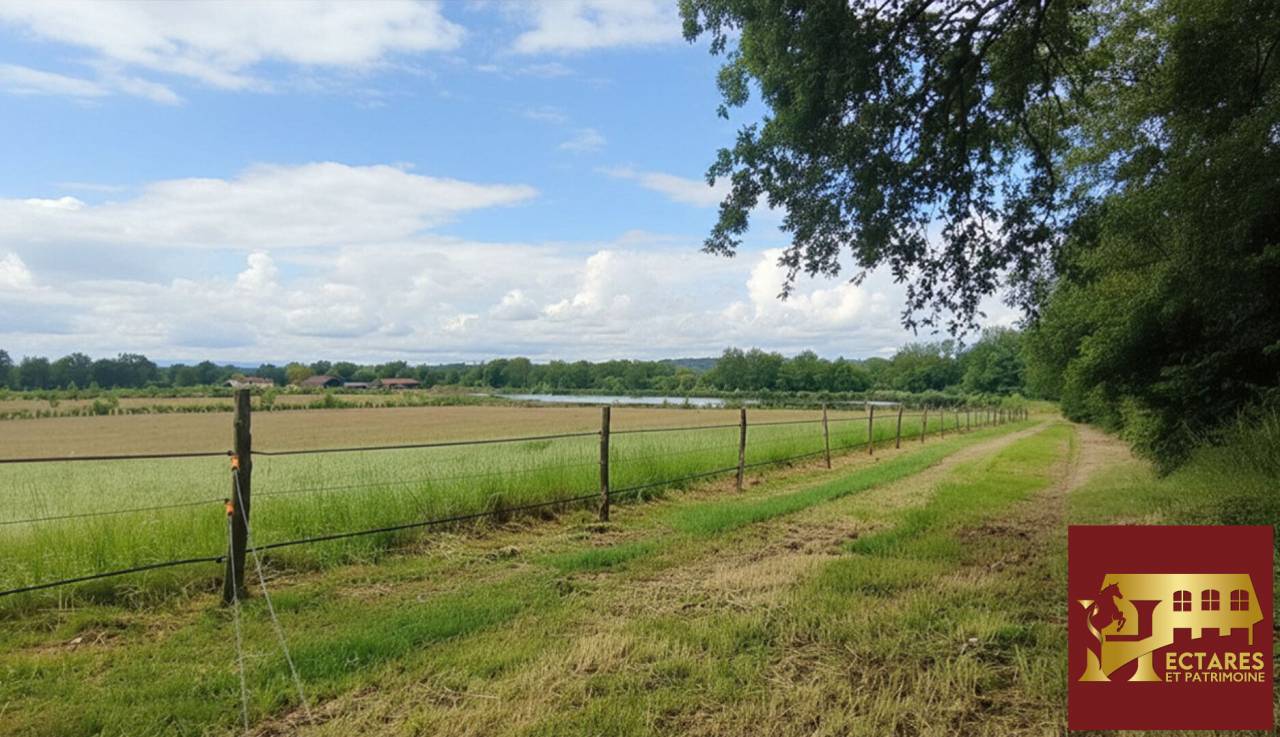 Hippisch vastgoed Koop Ain
