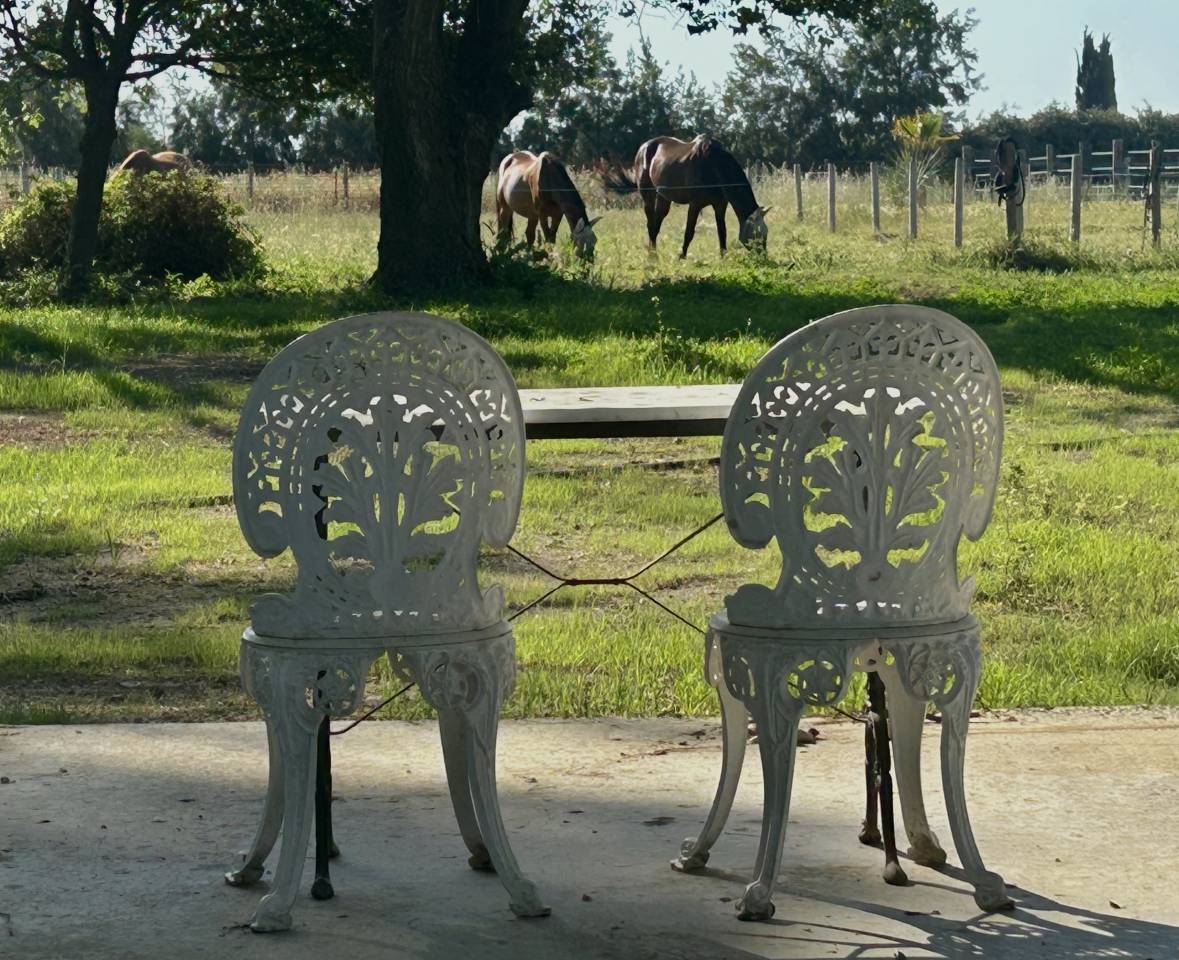 Hippisch vastgoed Koop Pyr&eacute;n&eacute;es-Orientales