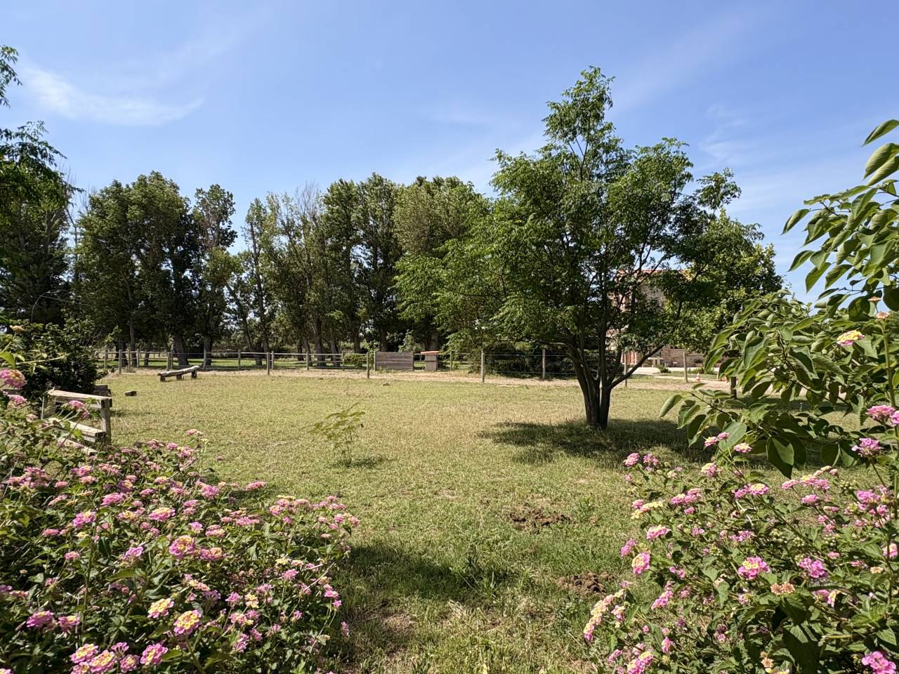 Hippisch vastgoed Koop Pyr&eacute;n&eacute;es-Orientales