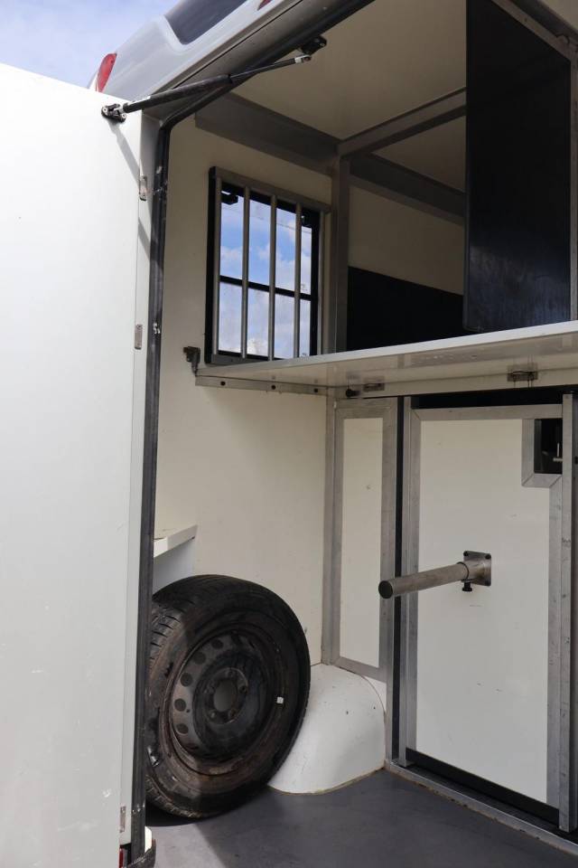 Kleine paardenvrachtwagen (B rijbewijs) STX STX 2017 Tweedehands