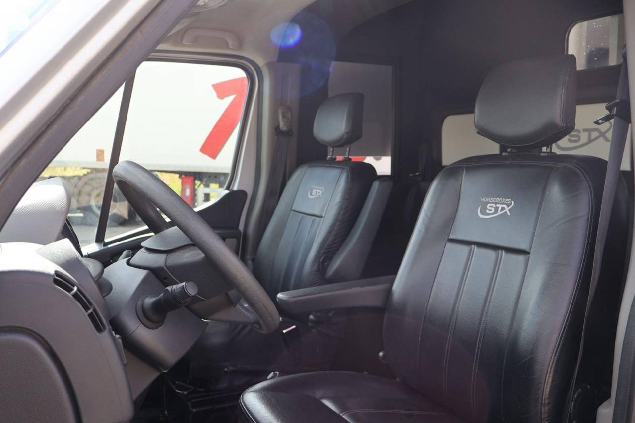Kleine paardenvrachtwagen (B rijbewijs) STX STX 2017 Tweedehands