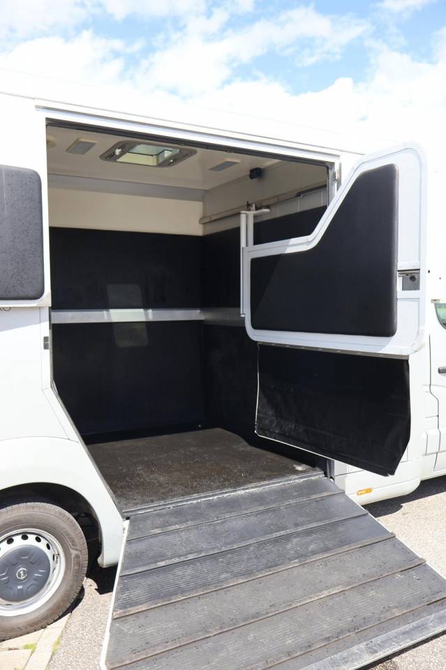 Kleine paardenvrachtwagen (B rijbewijs) STX STX 2017 Tweedehands