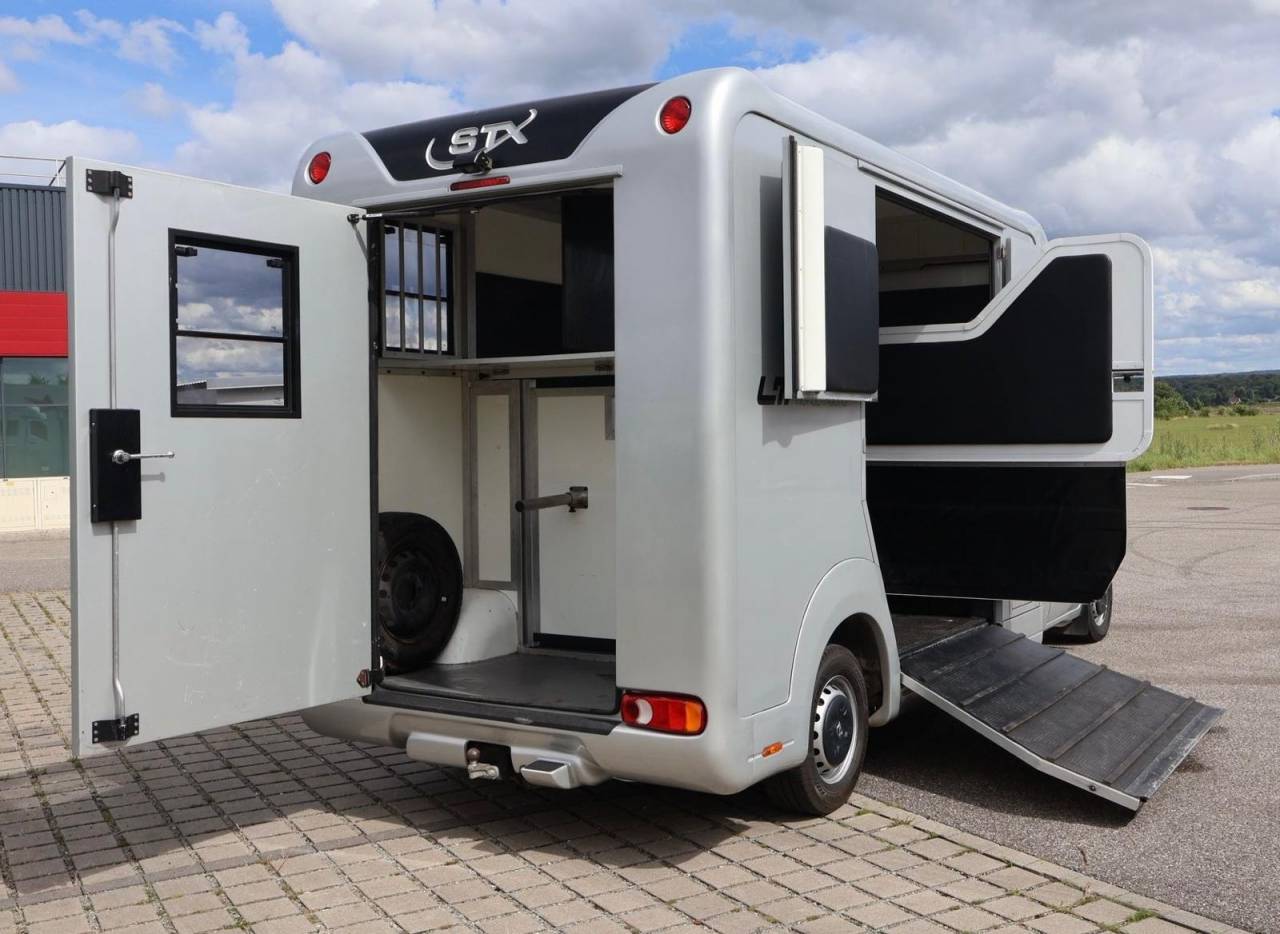 Kleine paardenvrachtwagen (B rijbewijs) STX STX 2017 Tweedehands