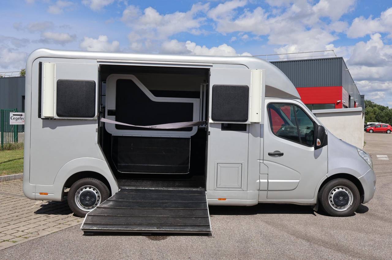 Kleine paardenvrachtwagen (B rijbewijs) STX STX 2017 Tweedehands