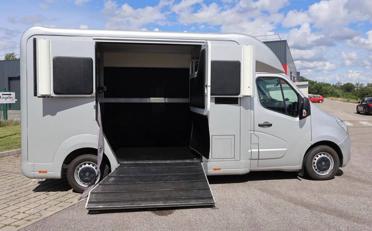 Kleine paardenvrachtwagen (B rijbewijs) STX STX 2017 Tweedehands