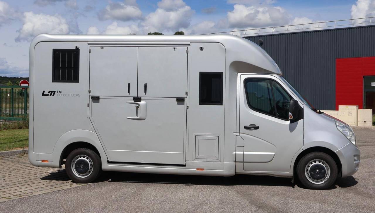 Kleine paardenvrachtwagen (B rijbewijs) STX STX 2017 Tweedehands