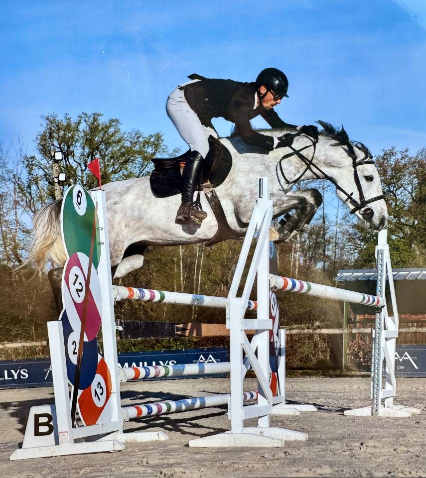 Merrie Selle Fran&ccedil;ais Te koop 2019 Schimmel ,  Andiamo semilly