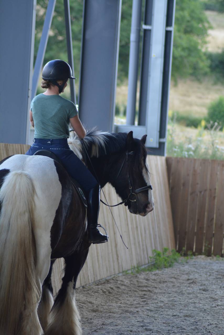 Ruin Cob Te koop 2021 Bont