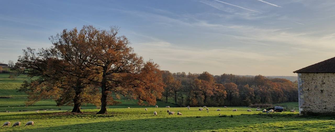 Hippisch vastgoed Koop Charente