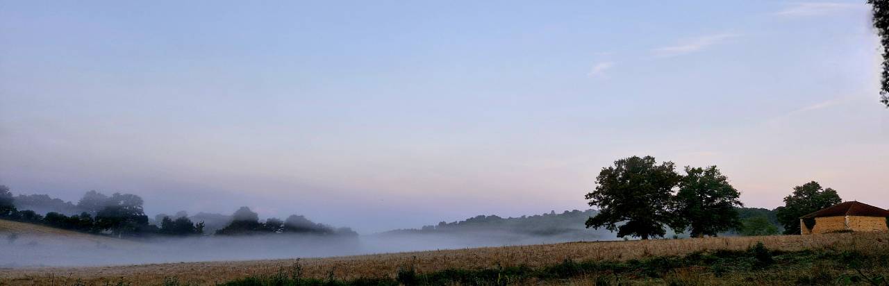 Hippisch vastgoed Koop Charente
