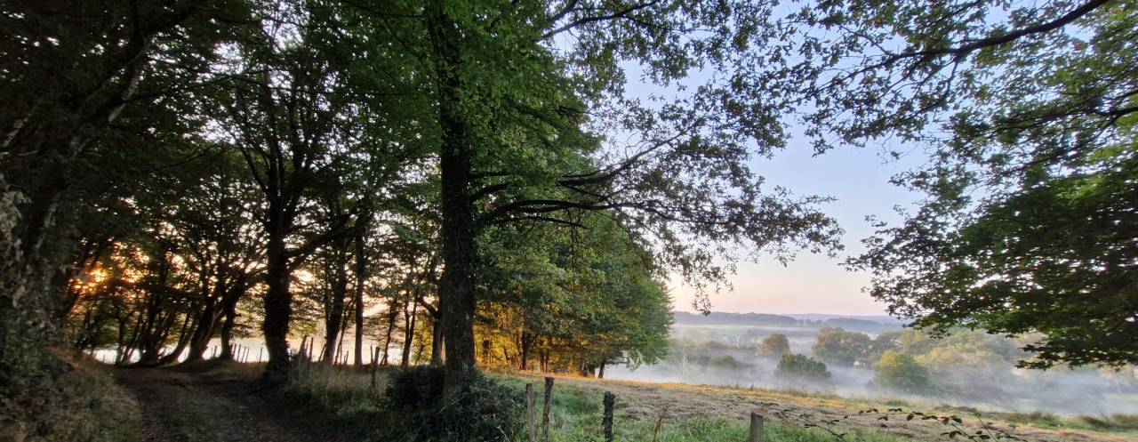 Hippisch vastgoed Koop Charente