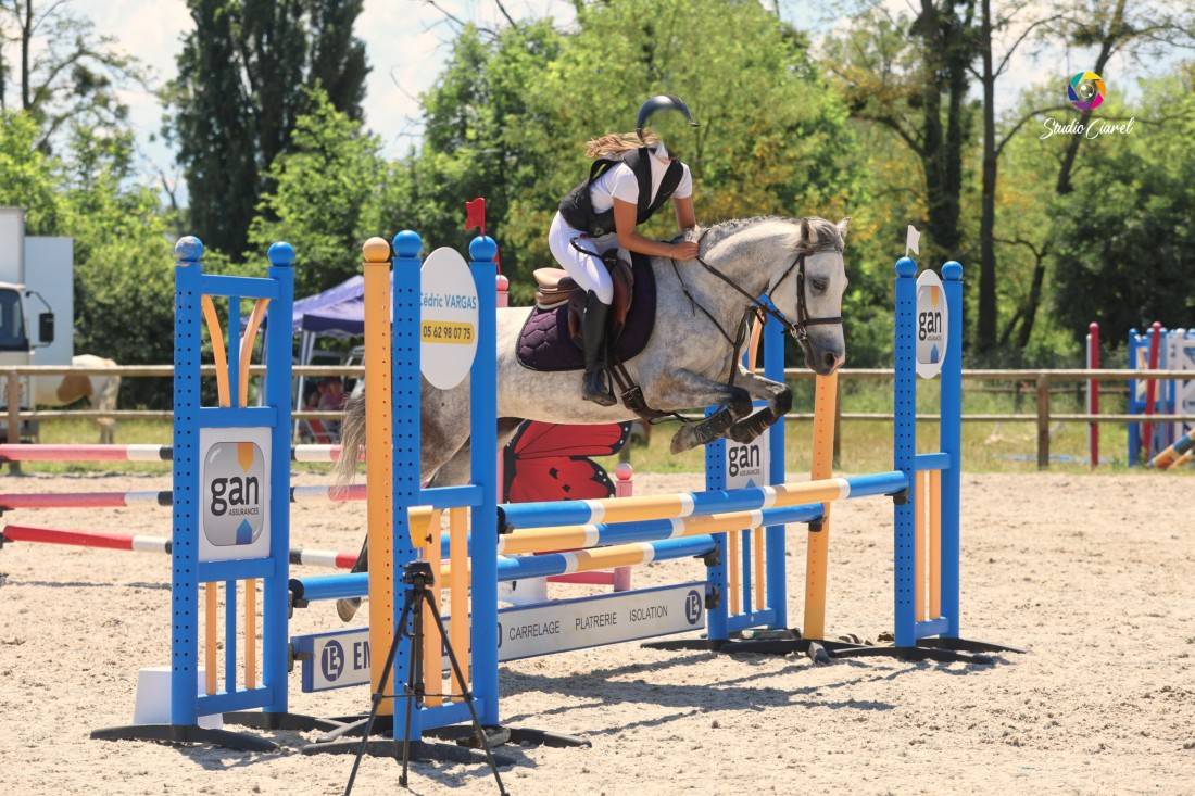 Merrie Bekend ras Te koop 2019 Schimmel ,  Fo'Reveur Du Jump