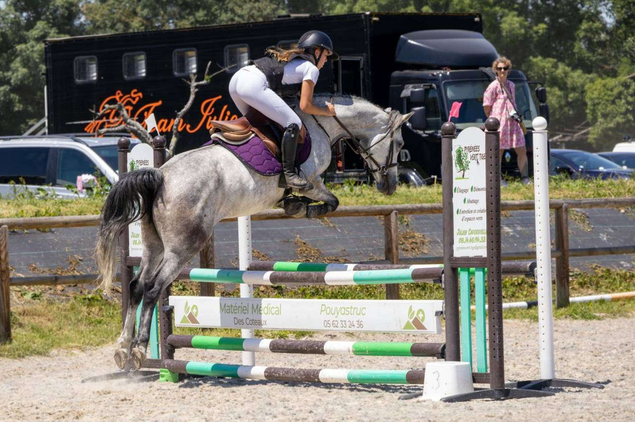 Merrie Bekend ras Te koop 2019 Schimmel ,  Fo'Reveur Du Jump