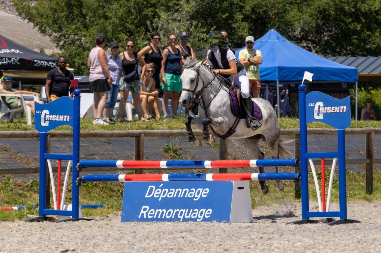 Merrie Bekend ras Te koop 2019 Schimmel ,  Fo'Reveur Du Jump