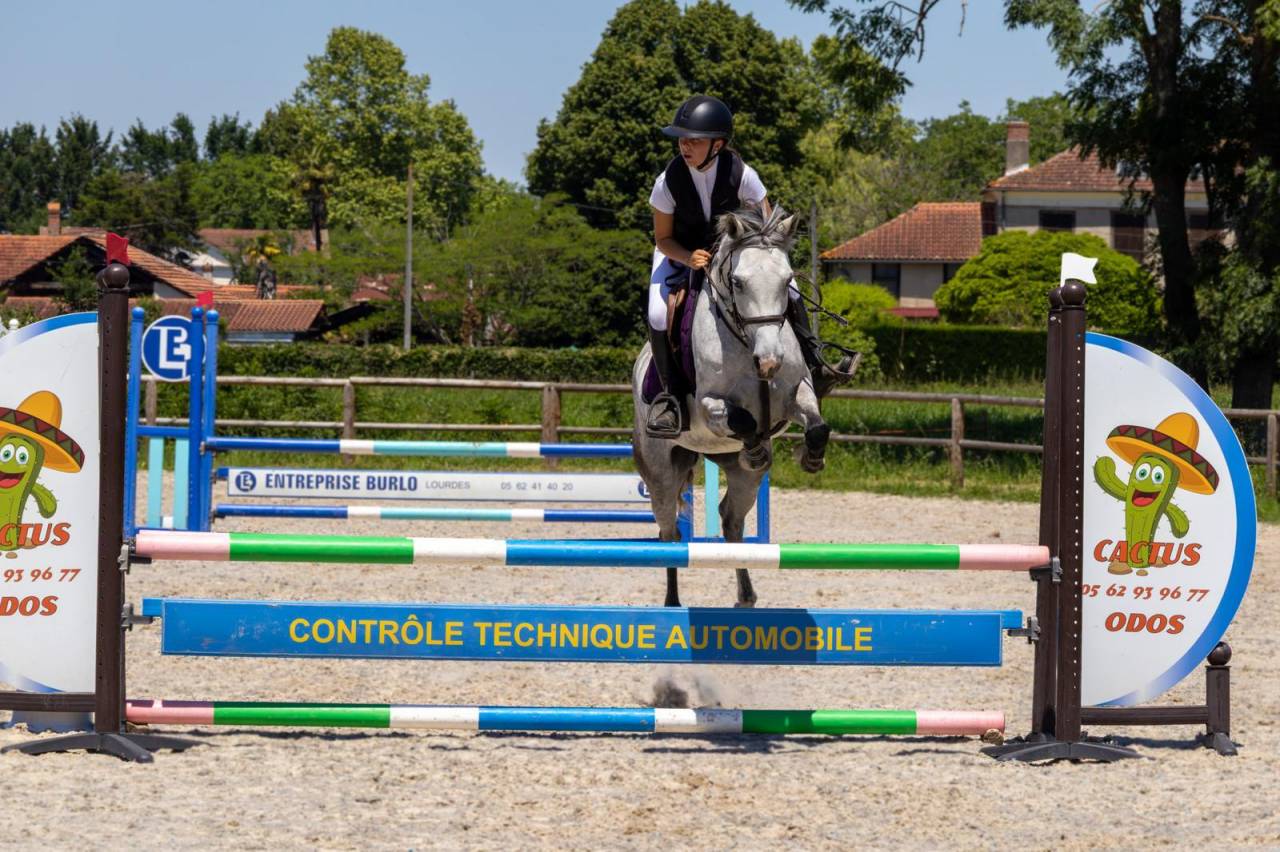 Merrie Bekend ras Te koop 2019 Schimmel ,  Fo'Reveur Du Jump