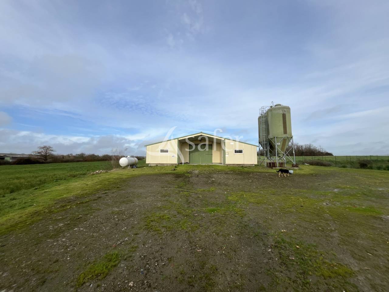 Ander plattelands vastgoed Koop Loire-Atlantique