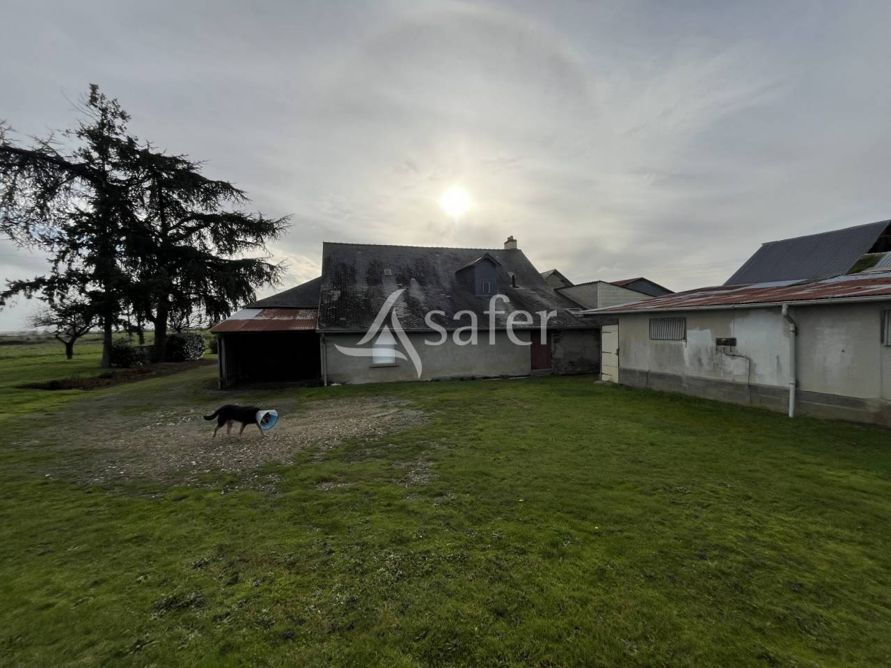 Ander plattelands vastgoed Koop Loire-Atlantique