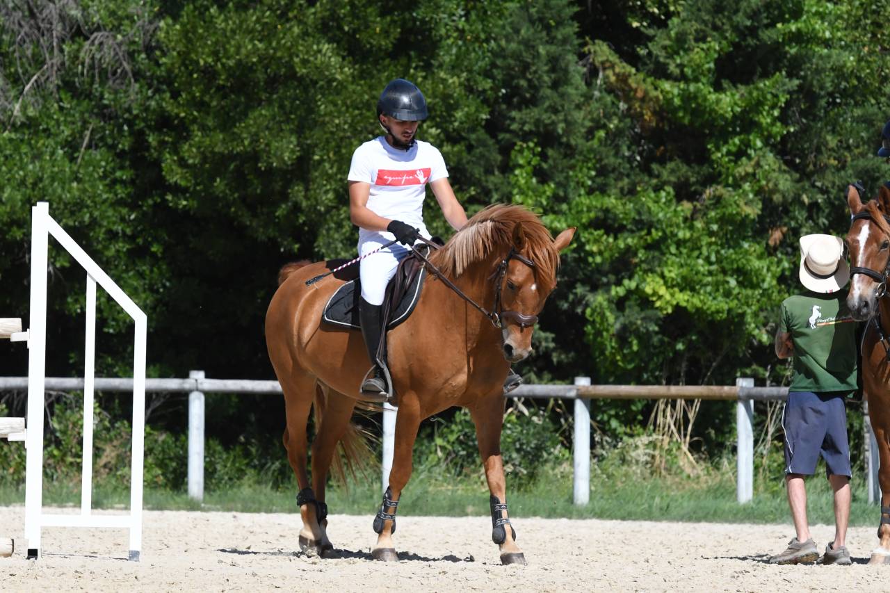 Ruin Franse rijpony PFS Te koop 2019 Vos