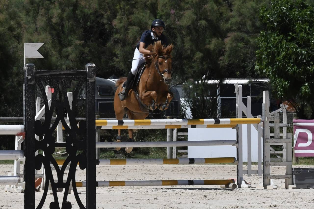 Ruin Franse rijpony PFS Te koop 2019 Vos