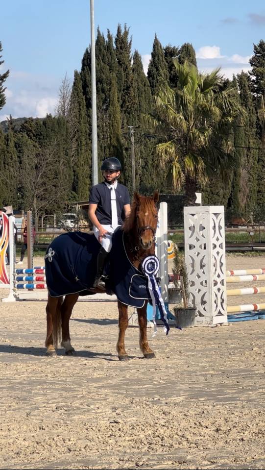 Ruin Franse rijpony PFS Te koop 2019 Vos
