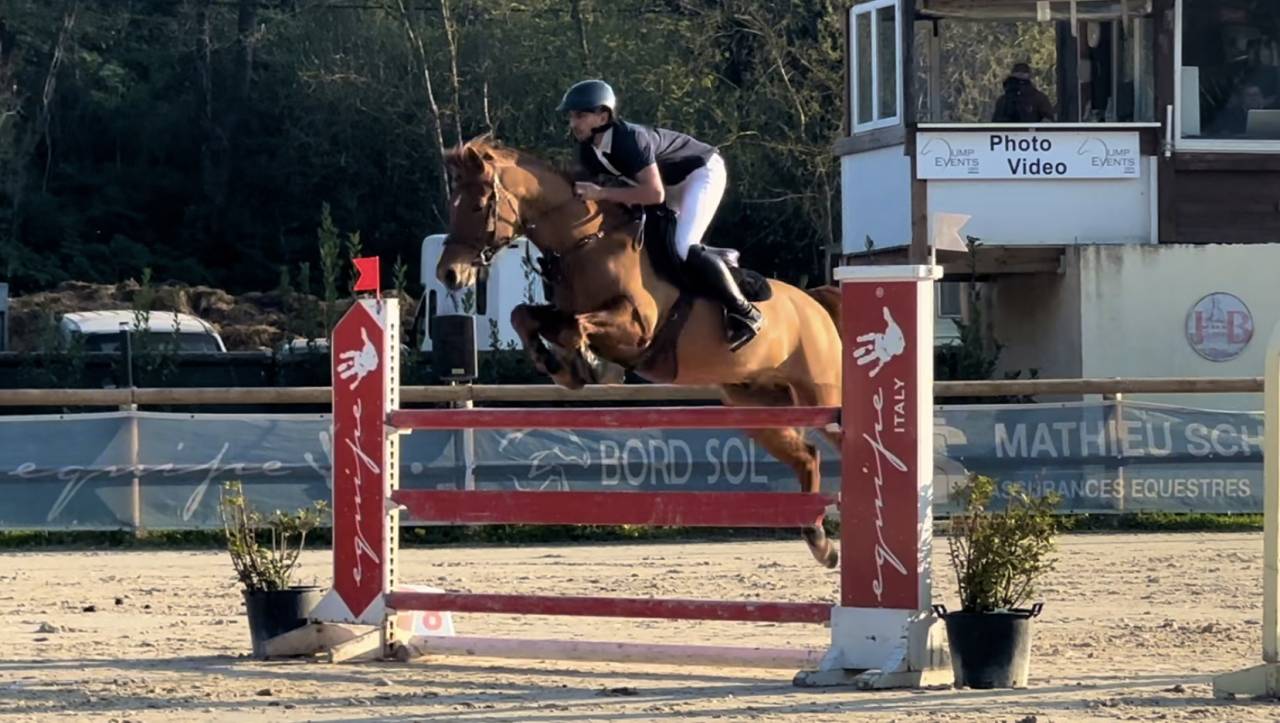 Ruin Franse rijpony PFS Te koop 2019 Vos
