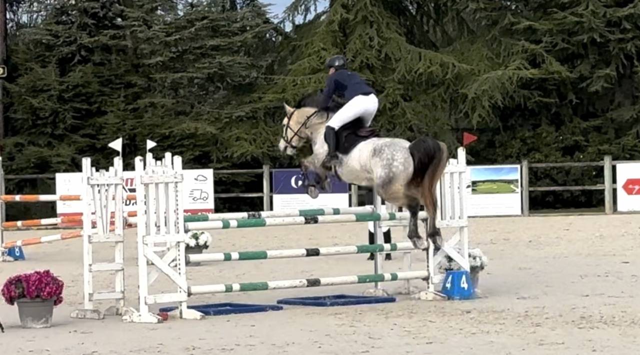 Ruin Connemara Te koop 2019 Schimmel
