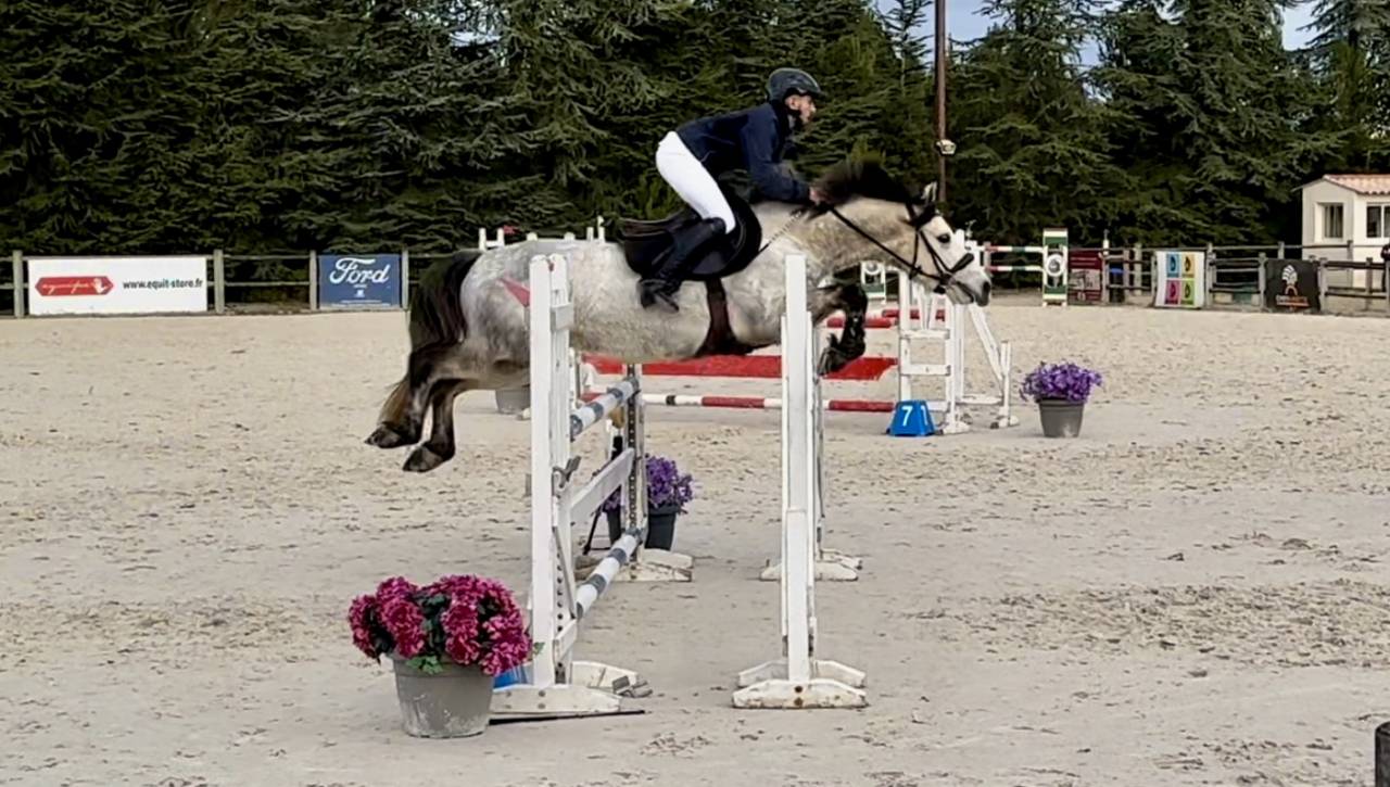 Ruin Connemara Te koop 2019 Schimmel