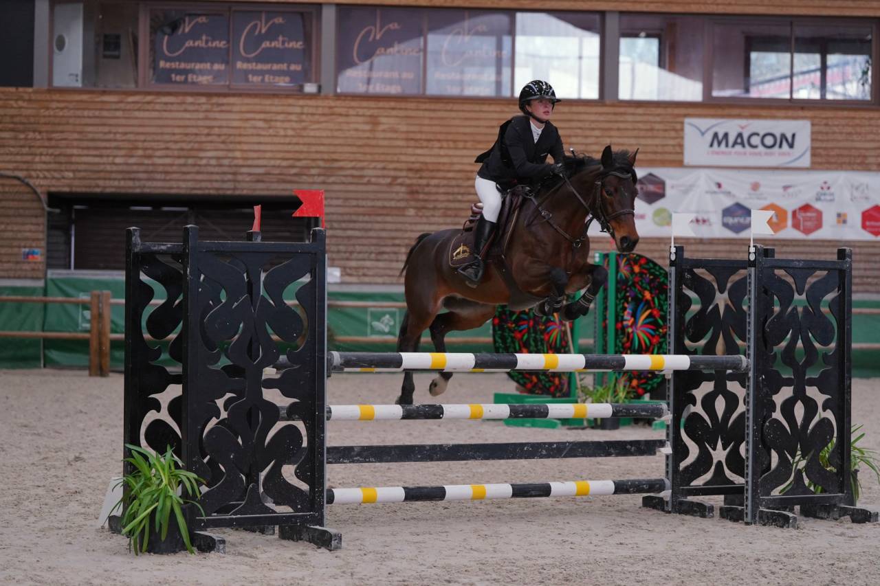Merrie Franse rijpony PFS Te leen 2016 Donker bruin / bai ,  QUABAR DES MONCEAUX