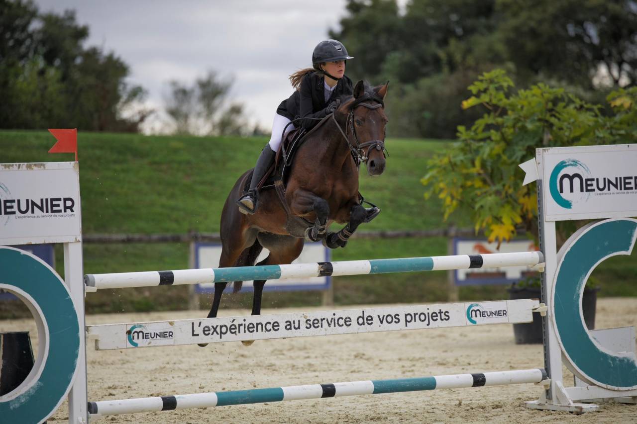 Merrie Franse rijpony PFS Te leen 2016 Donker bruin / bai ,  QUABAR DES MONCEAUX