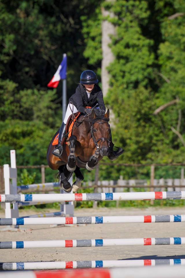Merrie Franse rijpony PFS Te leen 2016 Donker bruin / bai ,  QUABAR DES MONCEAUX