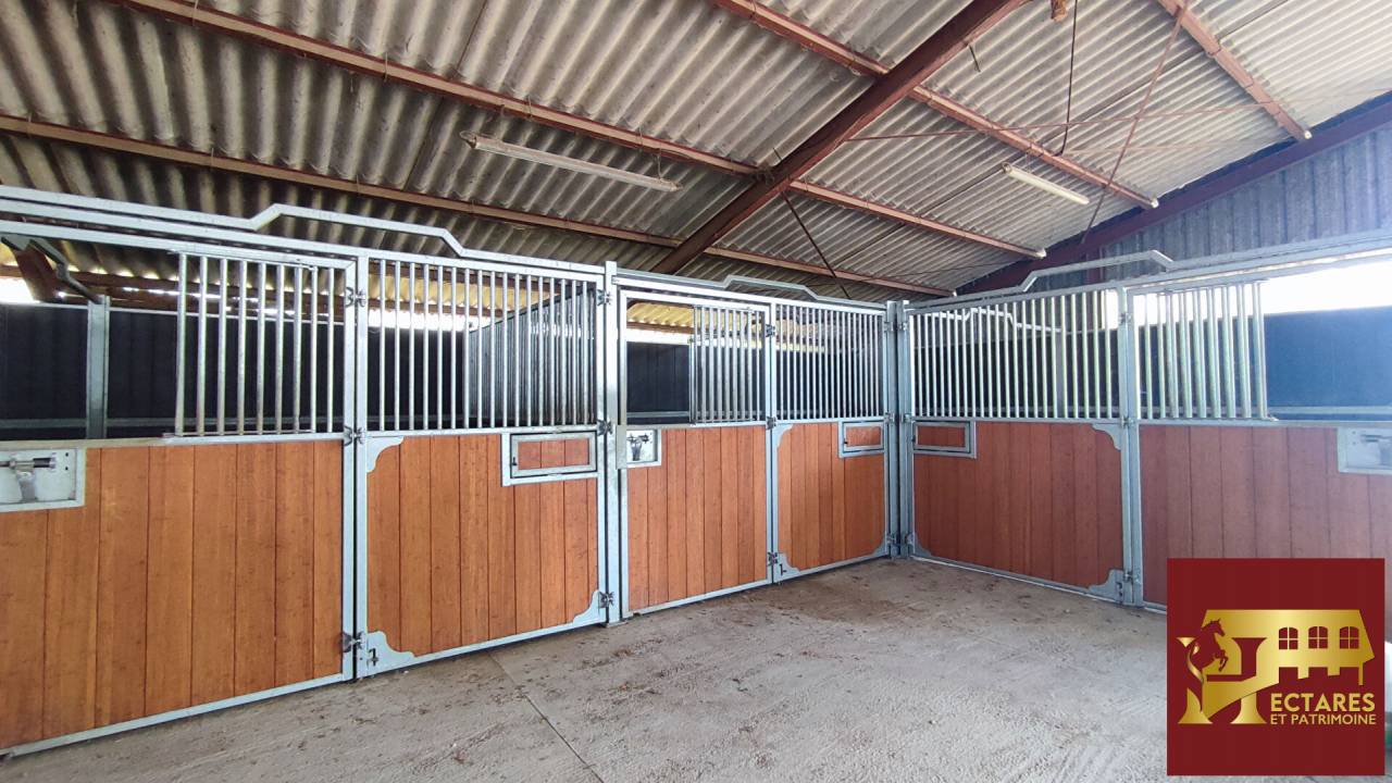 Paarden accommodatie Koop Sa&ocirc;ne-et-Loire