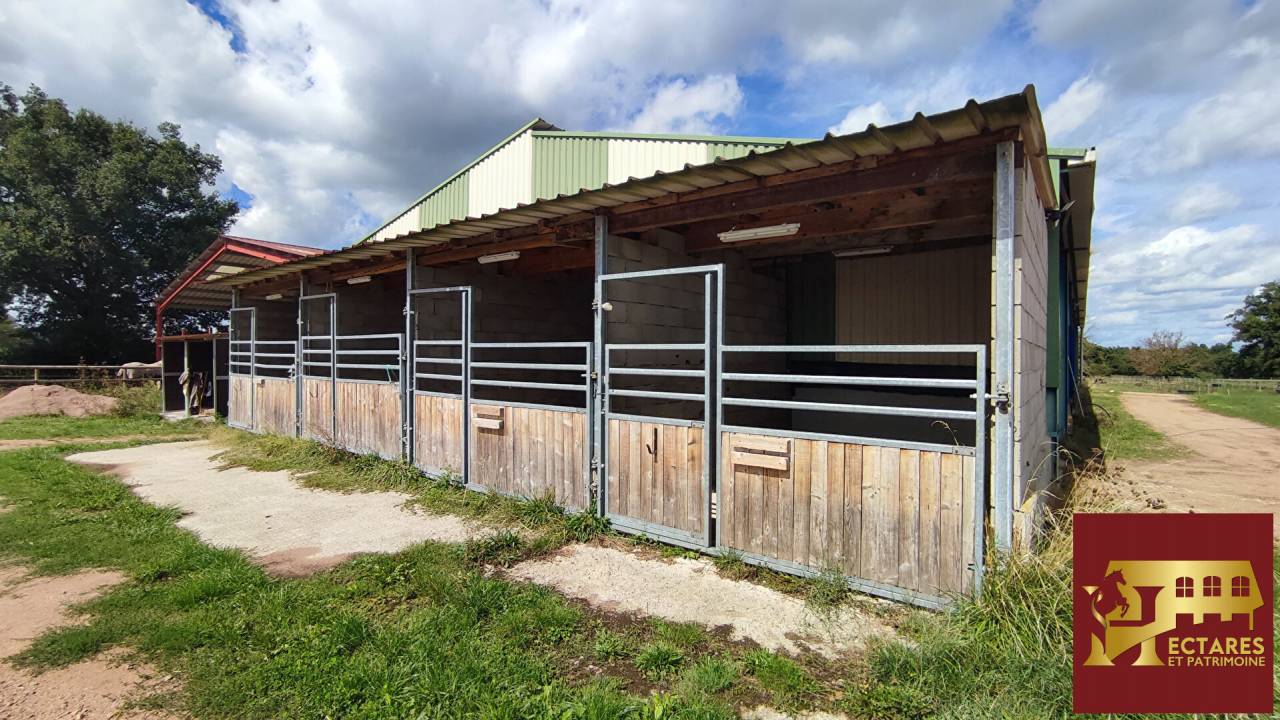 Paarden accommodatie Koop Sa&ocirc;ne-et-Loire