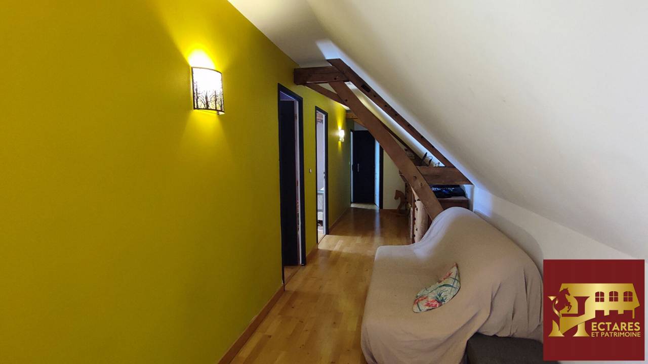 Paarden accommodatie Koop Sa&ocirc;ne-et-Loire