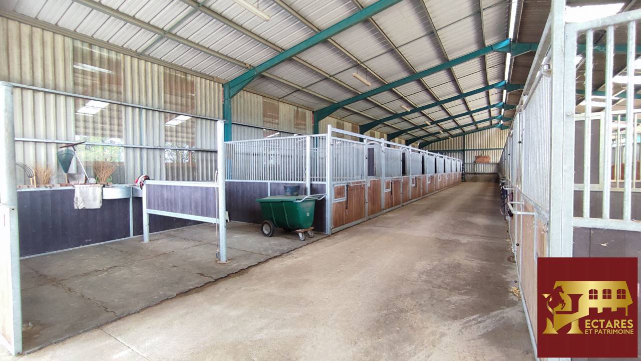 Paarden accommodatie Koop Sa&ocirc;ne-et-Loire