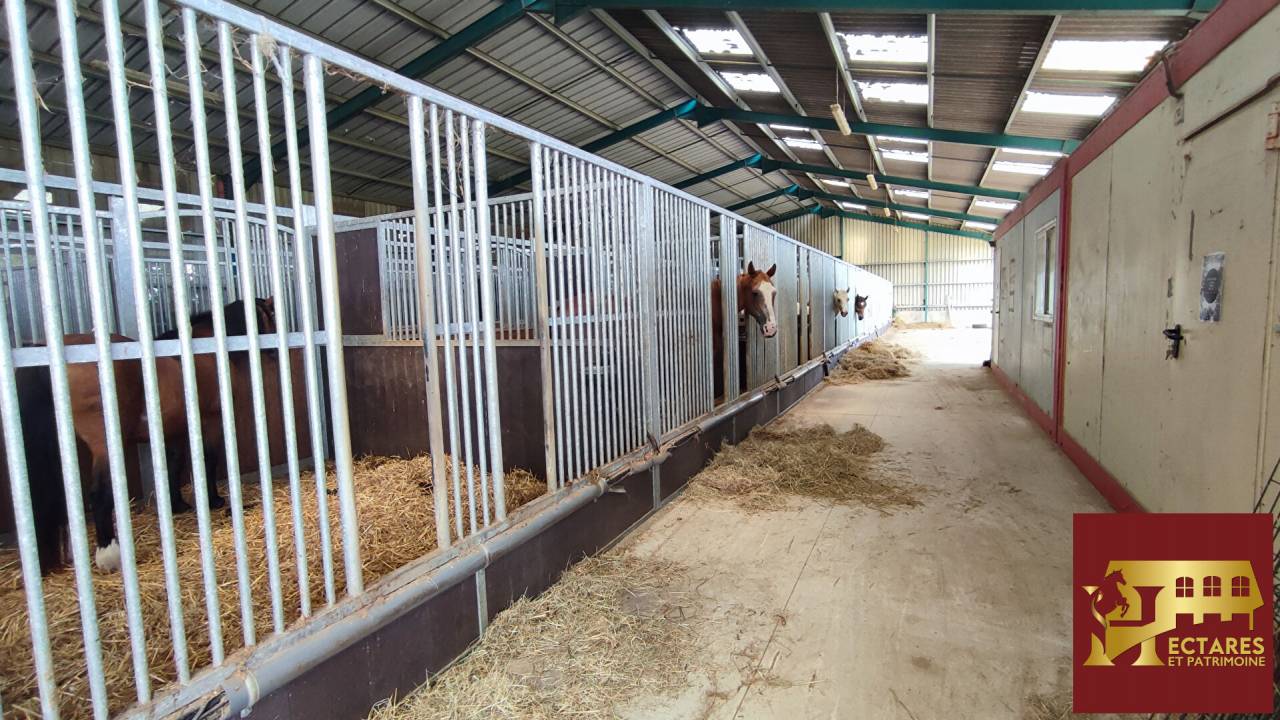 Paarden accommodatie Koop Sa&ocirc;ne-et-Loire