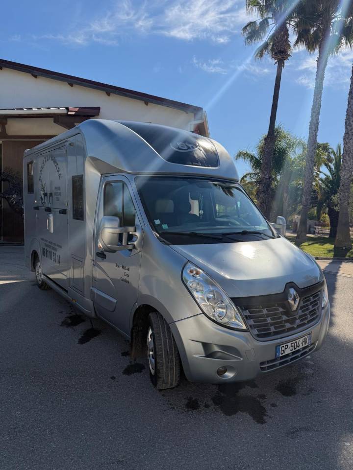 Kleine paardenvrachtwagen (B rijbewijs) Renault Master 2017 Tweedehands