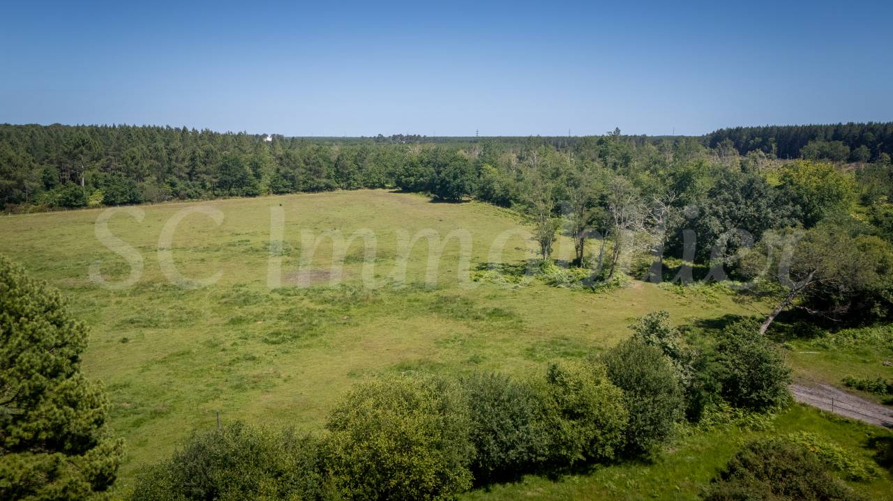 Mooi hippisch vastgoed Koop Gironde