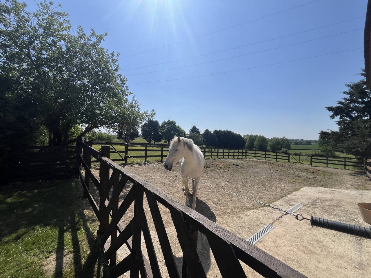 Mooi hippisch vastgoed Koop Sarthe